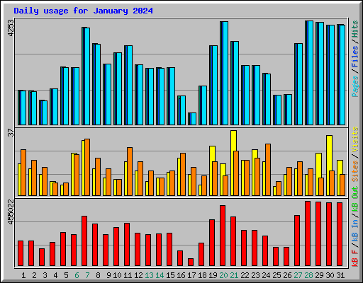 Daily usage for January 2024