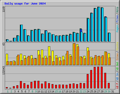 Daily usage for June 2024