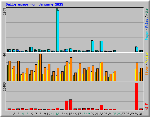 Daily usage for January 2025