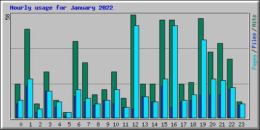 Hourly usage for January 2022