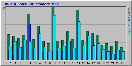 Hourly usage for November 2022