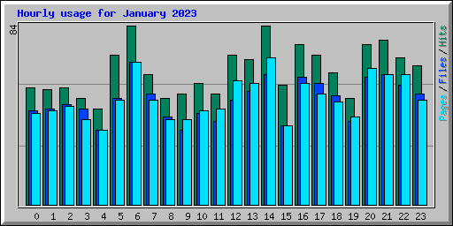 Hourly usage for January 2023