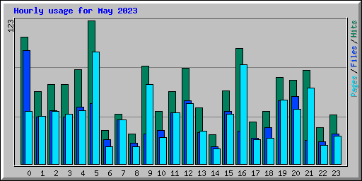 Hourly usage for May 2023