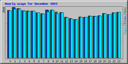 Hourly usage for December 2023