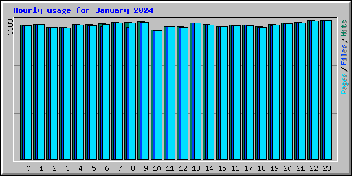 Hourly usage for January 2024