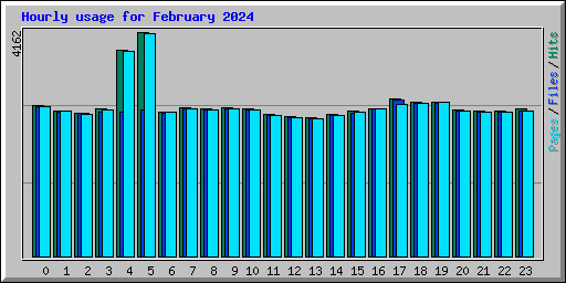 Hourly usage for February 2024