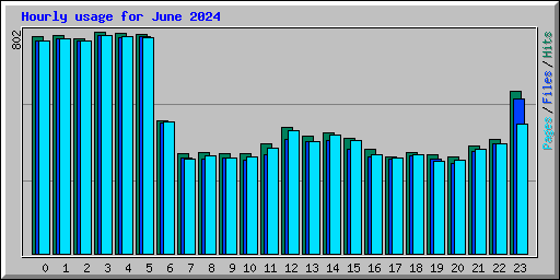 Hourly usage for June 2024