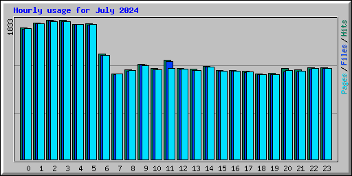 Hourly usage for July 2024