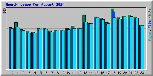 Hourly usage for August 2024