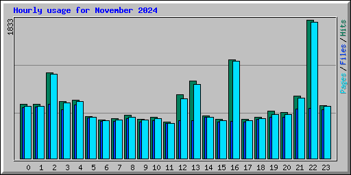 Hourly usage for November 2024