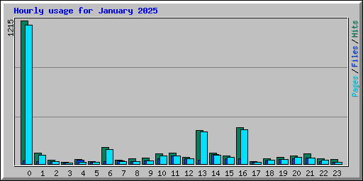 Hourly usage for January 2025